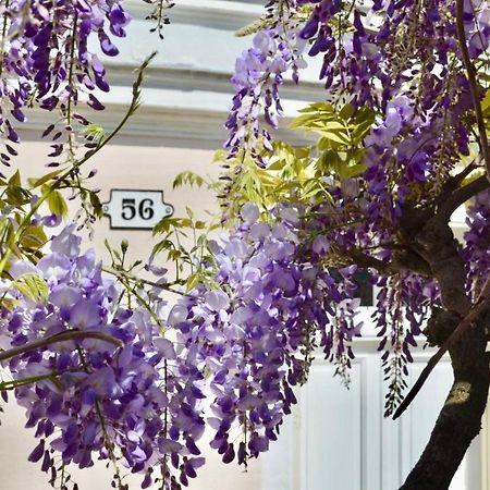 Bed and Breakfast Wisteria Фонтенбло Экстерьер фото