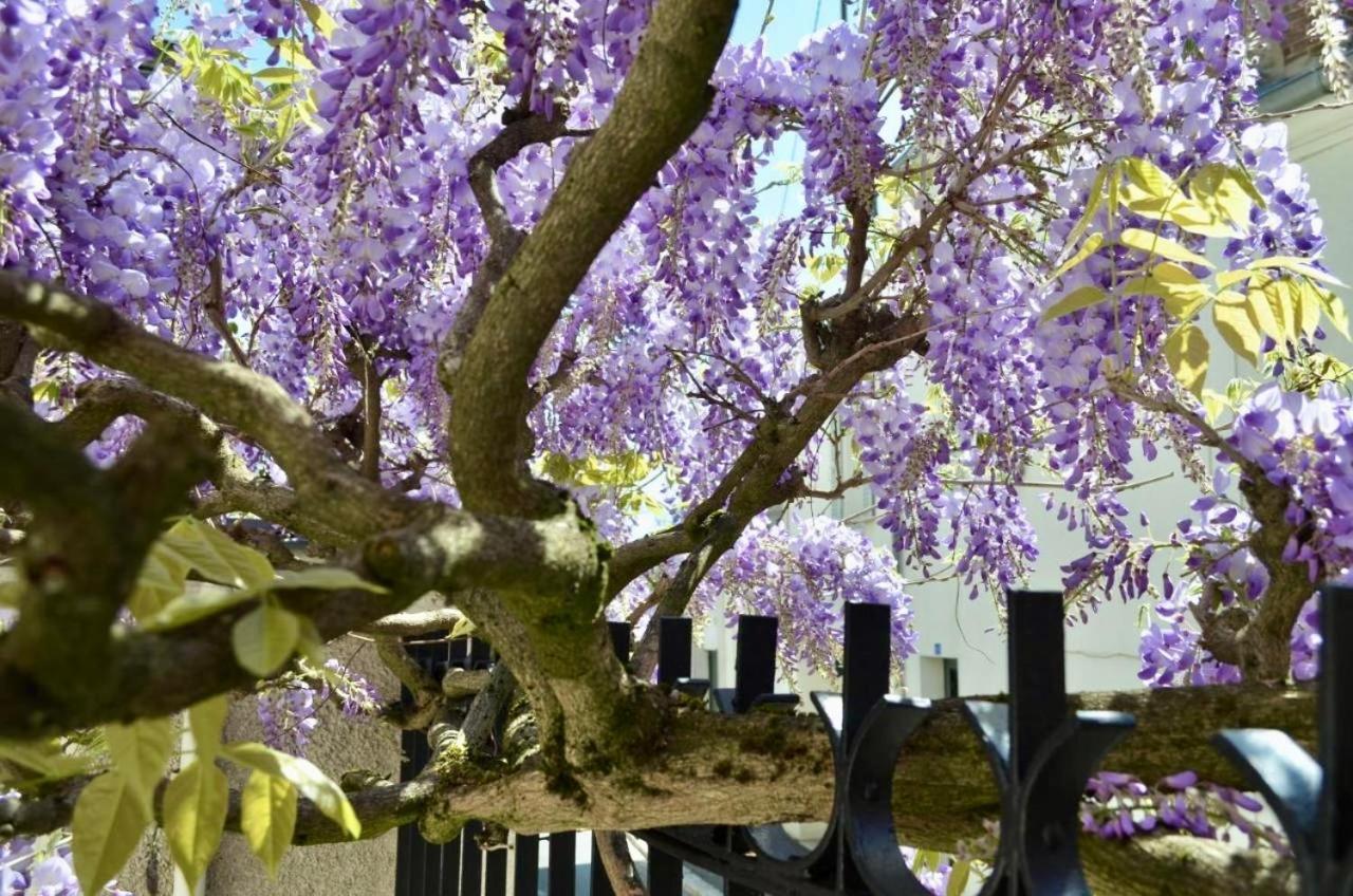 Bed and Breakfast Wisteria Фонтенбло Экстерьер фото