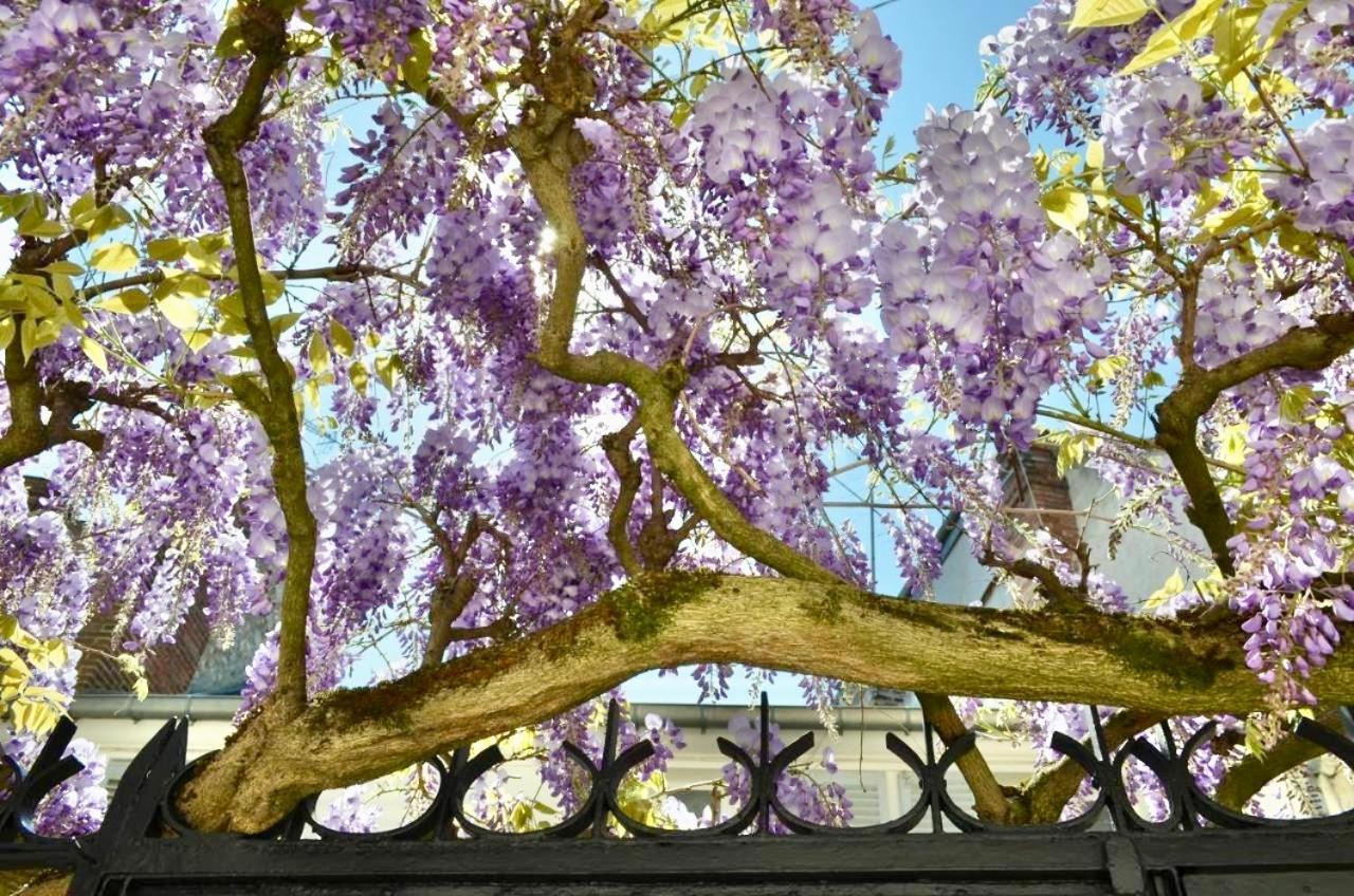 Bed and Breakfast Wisteria Фонтенбло Экстерьер фото